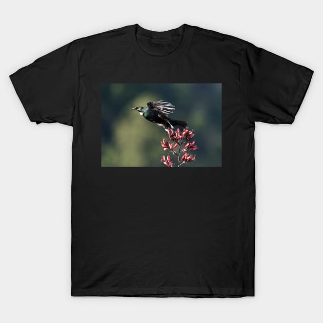 A Boisterous Beauty - Tui T-Shirt by MinnieWilks